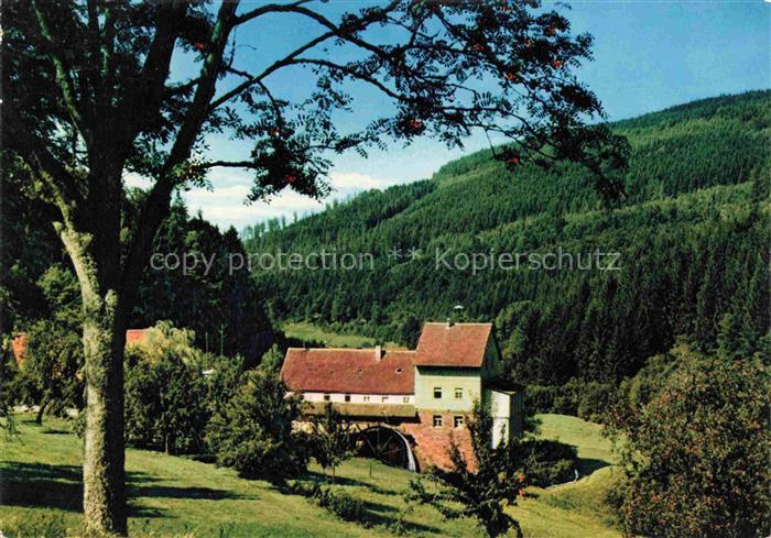 Waldbrunn Odenwald BW Muehle im Oberen Hoellgrund