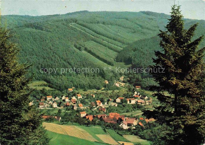 Langenthal Odenwald Hirschhorn Neckar Bergstrasse Panorama