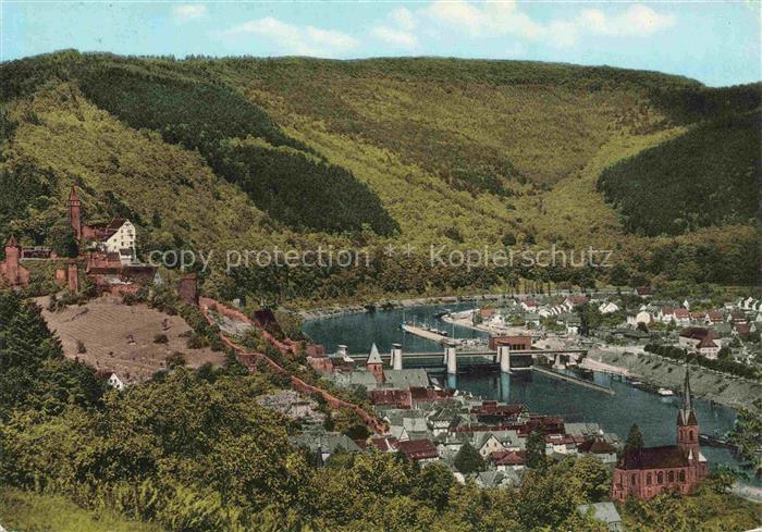 Hirschhorn Neckar Hessen Panorama Neckarschleuse