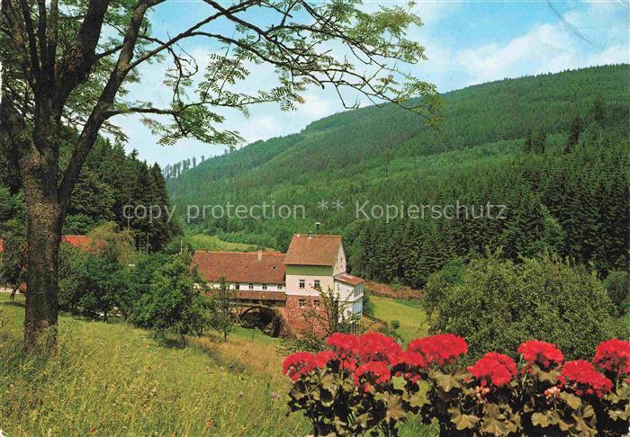 Struempfelbrunn Waldbrunn Muehle im oberen Hoellgrund