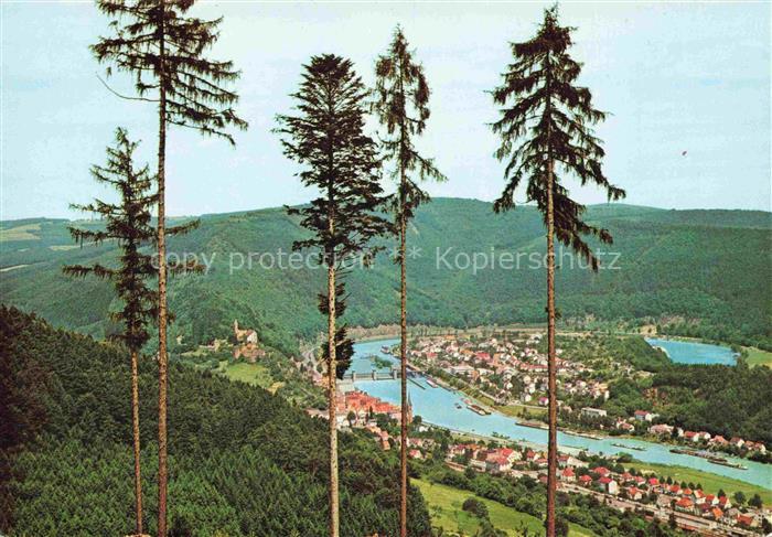 Hirschhorn Neckar Hessen Neckarpartie Panorama