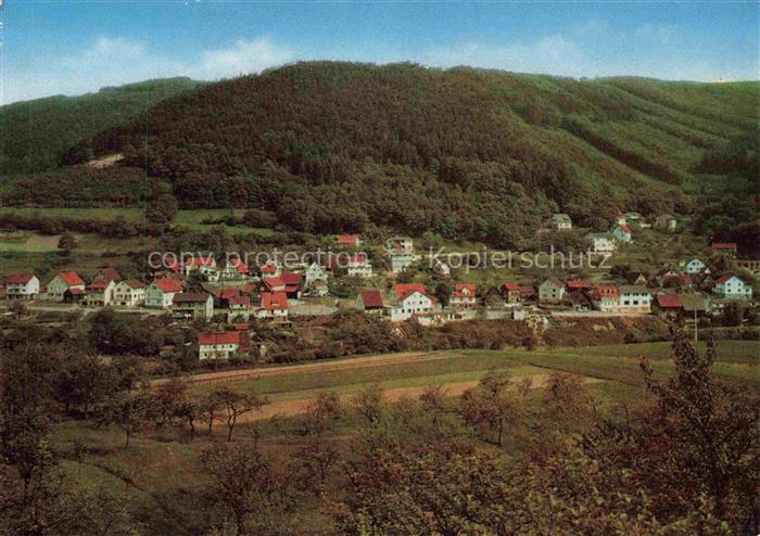 Langenthal Odenwald Hirschhorn Neckar Bergstrasse Panorama