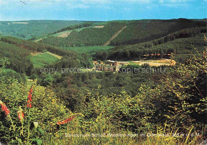 Mudau Sanatorium Schloss Waldleiningen