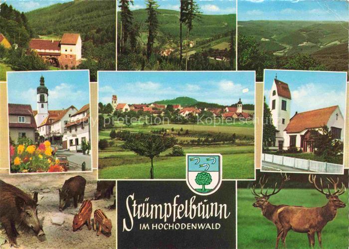 Struempfelbrunn Waldbrunn Gasthaus zur Muehle Panorama Muehlrad Katzenbuckelturm