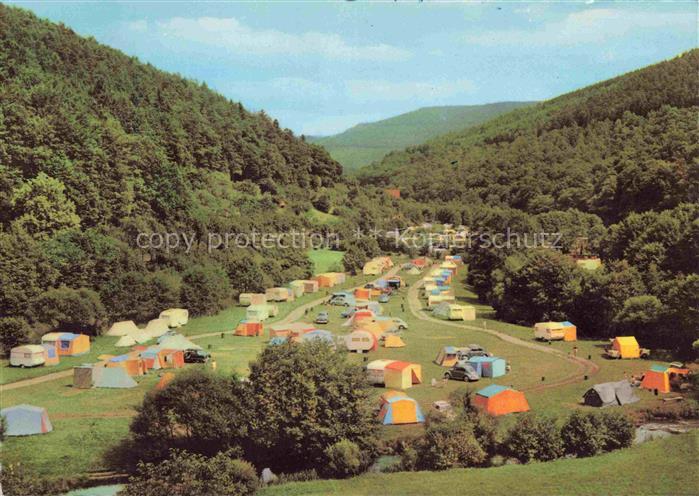 Hirschhorn Neckar Hessen Campingplatz