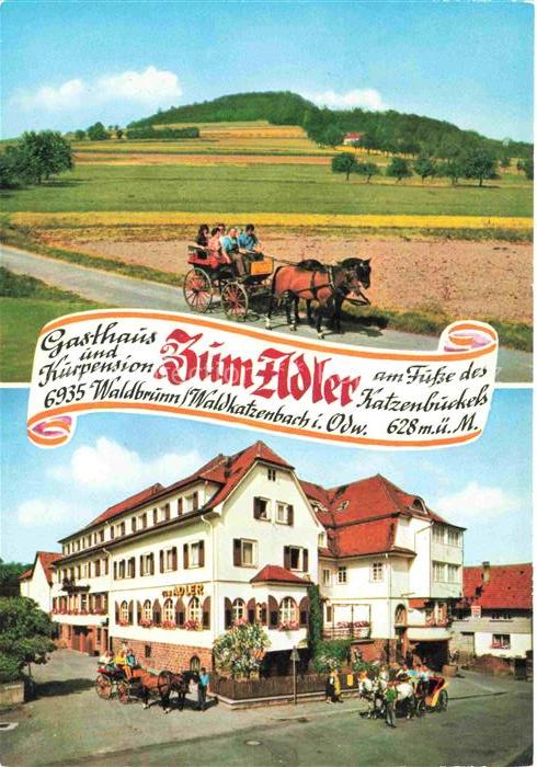 Waldkatzenbach Waldbrunn Gasthaus Zum Adler Kutschfahrten