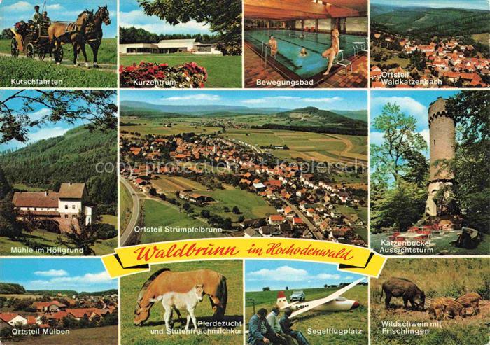 Waldbrunn Odenwald BW Kutschfahrten Kurzentrum Muelben Waldkatzenbach Katzenbuck