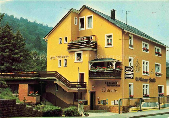 Hirschhorn Neckar Hessen Hotel Forelle