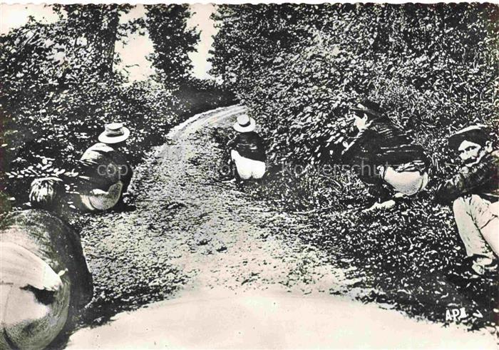 ANVERS Antwerpen En Parcourant le Lot Les Effets des Baux de Miers