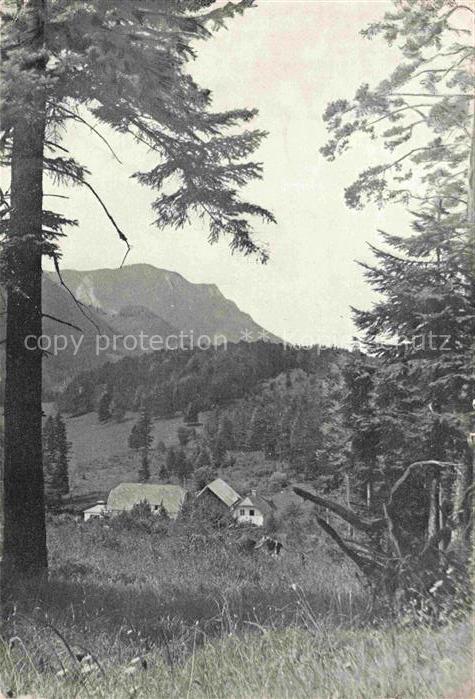 Gutenstein Niederoesterreich AT Berggasthof Mamauwiese