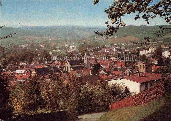 Mosbach Baden Neckar-Odenwald-Kreis BW Panorama