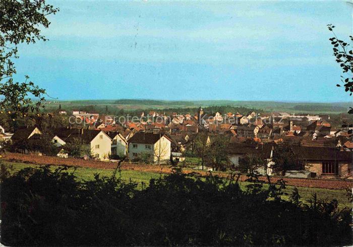 Limbach Baden Neckar-Odenwald-Kreis BW Panorama