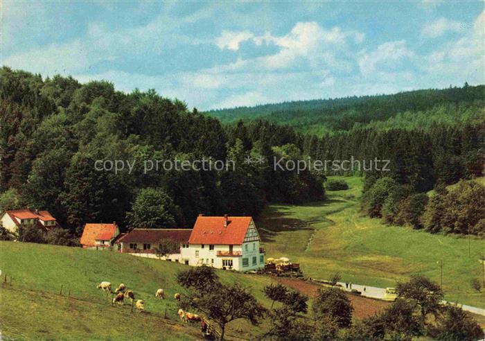 Grasellenbach Gras-Ellenbach Panorama Blick ins Gassbachtal