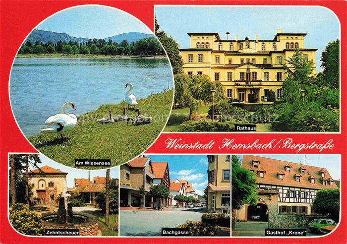 Hemsbach  Bergstrasse Schwaene am Wiesensee Rathaus Zehntscheuer Bachgasse Gasth