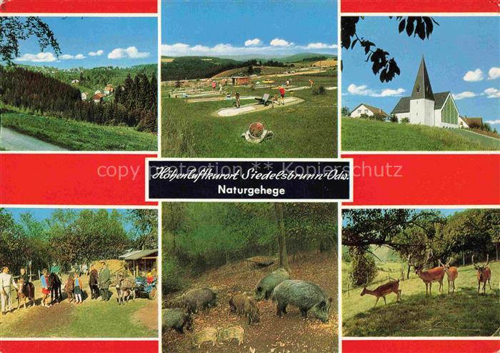 Altneudorf Schoenau Heidelberg BW Hoehengaststaette Morgenstern Pension Minigolf