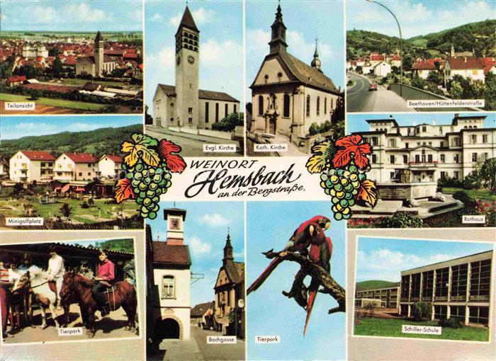 Hemsbach  Bergstrasse Panorama Kirche Strassenpartien Minigolf Rathaus Ponyreite