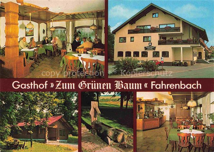 Fahrenbach Baden BW Gasthof Pension Zum gruenen Baum Gastraum Brunnen