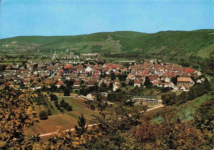 Hassmersheim Panorama