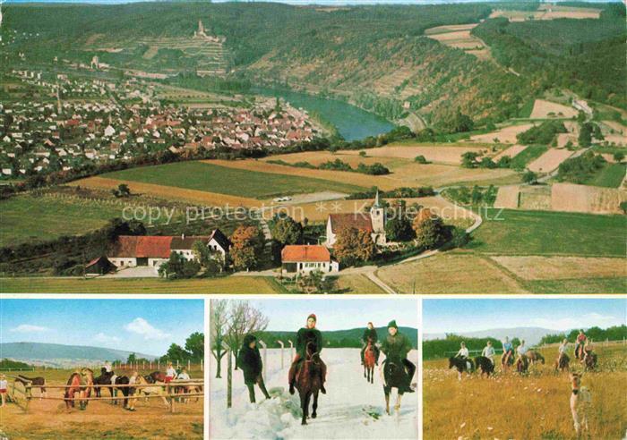 Gundelsheim  Neckar Panorama Luftaufnahme Ponyreiten Pferdekoppel