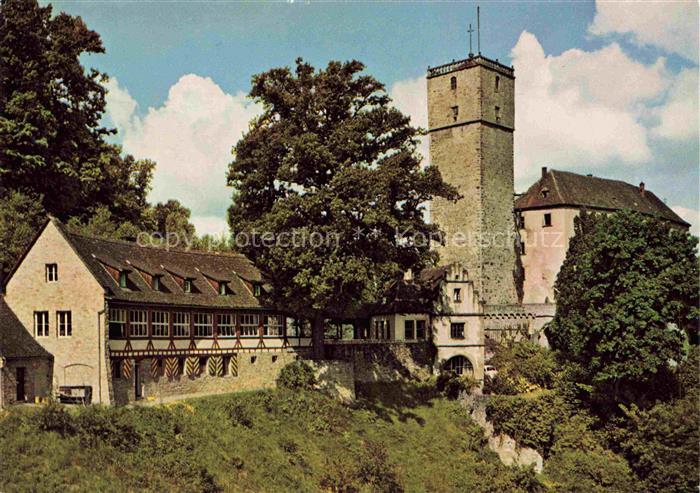Neckarmuehlbach Burg Guttenberg ueber dem Neckar Burgmuseum Greifvogelwarte Burg