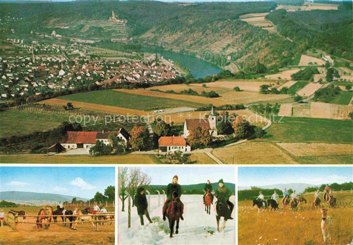 Gundelsheim  Neckar Panorama Luftaufnahme Gasthof Pension Michaelsberg Ausritte
