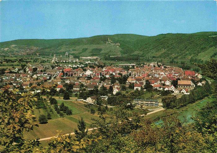 Hassmersheim Panorama