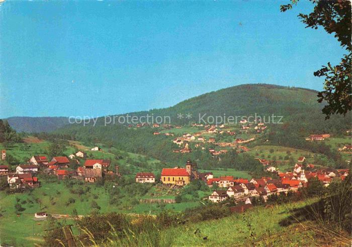 Heiligkreuzsteinach Heidelberg BW Panorama Gasthaus Pension Lamm