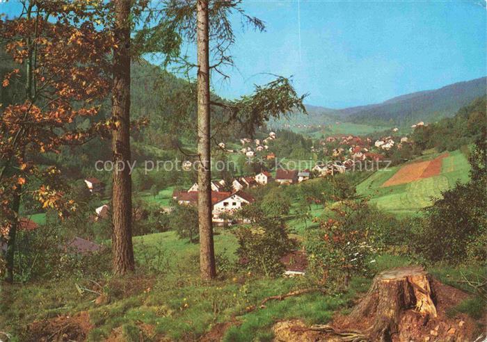 Altneudorf Schoenau Heidelberg BW Panorama