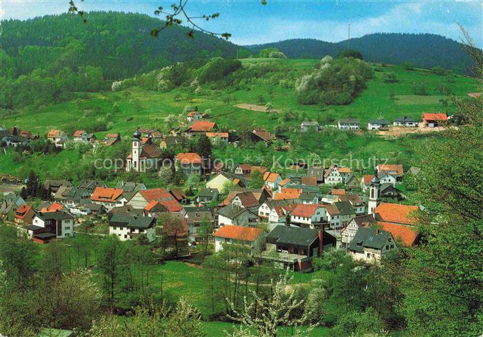 Heiligkreuzsteinach Heidelberg BW Panorama
