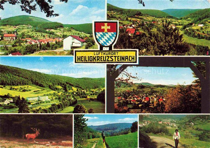 Heiligkreuzsteinach Heidelberg BW Panorama Teilansichten Hirsch Wanderweg