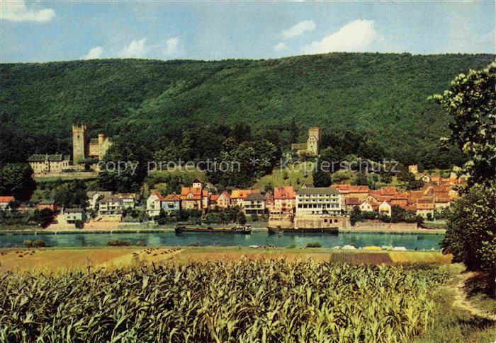 Neckarsteinach Vierburgenstadt Neckarpartie