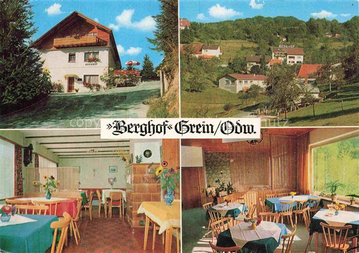 Grein Heidelberg Neckar Cafe Pension Berghof Gastraeume