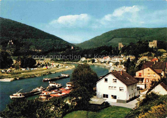 Neckarsteinach Neckarpartie mit 4 Burgen