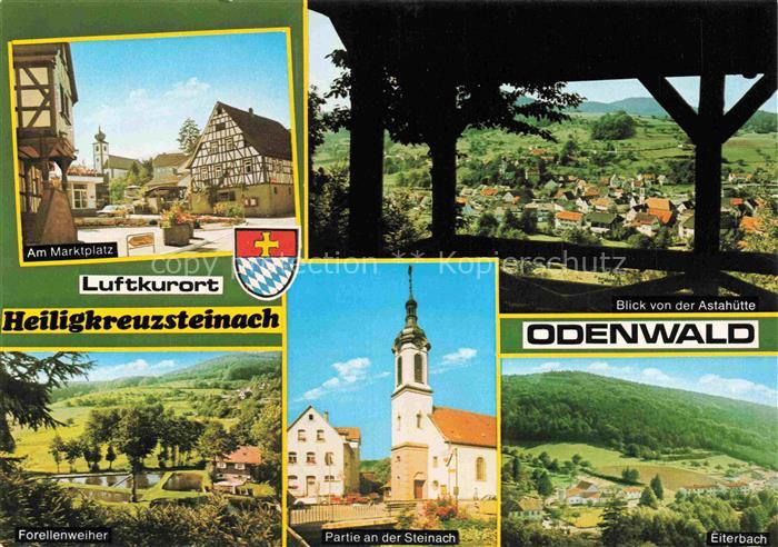 Heiligkreuzsteinach Heidelberg BW Am Marktplatz Blick von der Astahuette Forelle