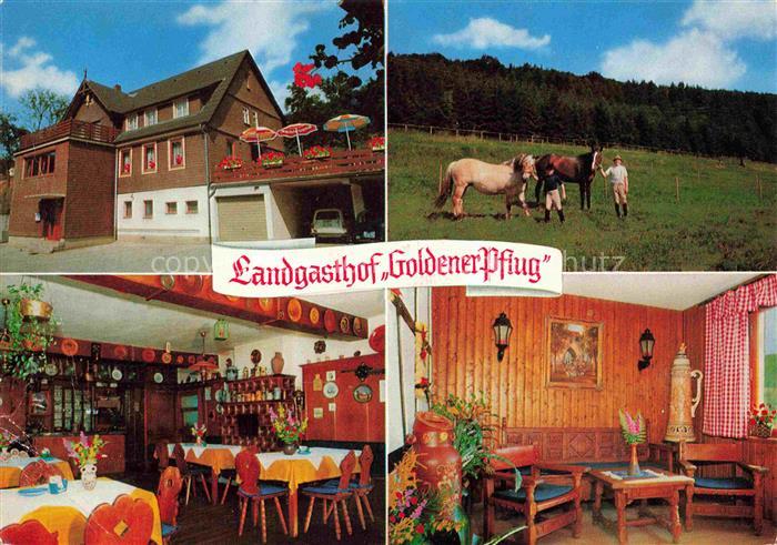 Eiterbach Heiligkreuzsteinach Landgasthof Goldener Pflug Gastraeume Pferde
