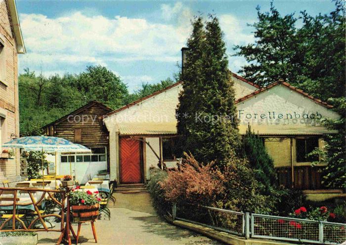 Waldhilsbach Neckargemuend Heidelberg BW Gasthaus zum Forellenbach