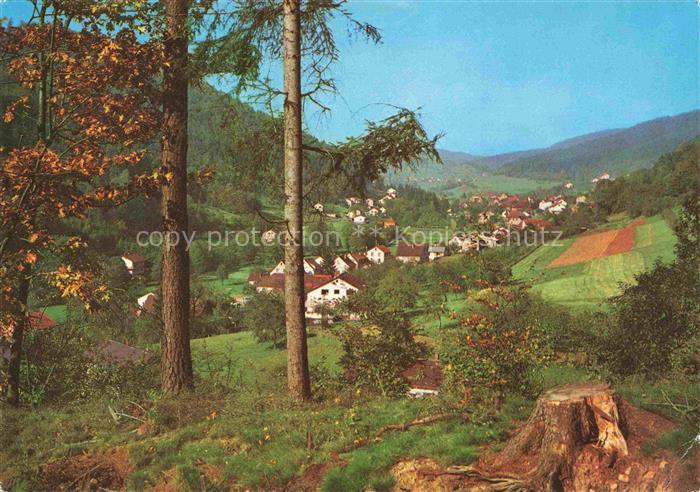 Altneudorf Schoenau Heidelberg BW Panorama