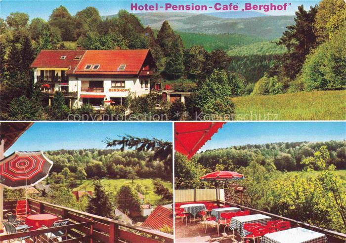 Grein Neckarsteinach Hotel Cafe Berghof Terrasse