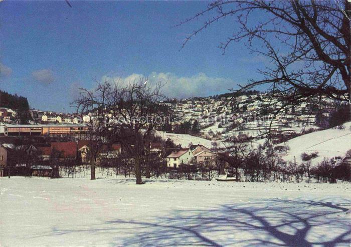 Wilhelmsfeld Panorama