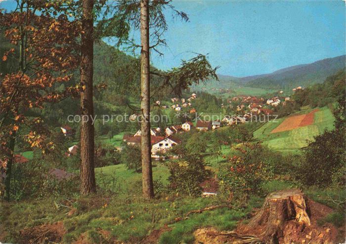 Altneudorf Schoenau Heidelberg BW Panorama