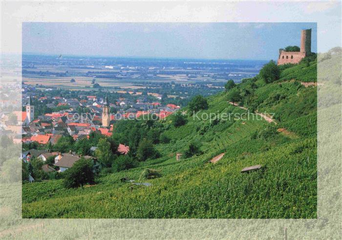 Schriesheim Panorama Strahlenburg
