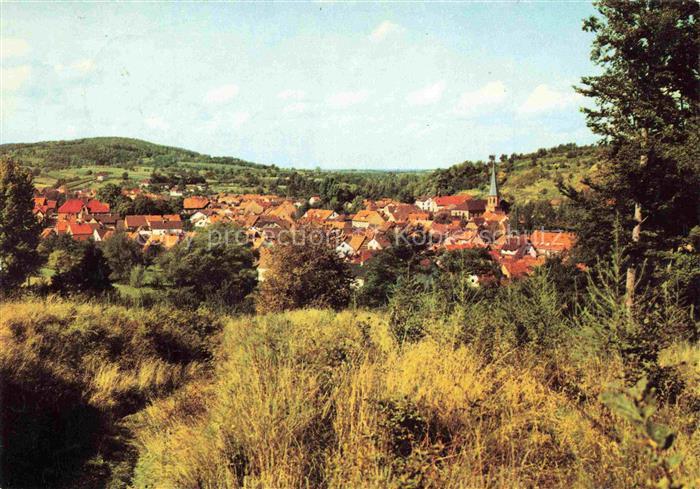Muehlhausen Heidelberg Kraichgau Panorama