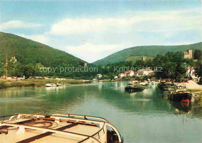 Neckarsteinach Neckarpartie