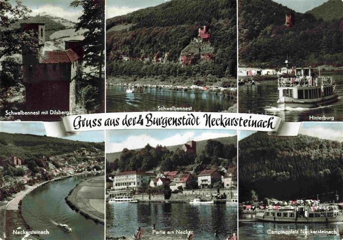 Neckarsteinach Neckarpartien Schwalbennest Hinterburg