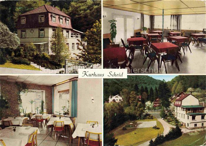 Schriesheim Kurhaus Scheid Gastraeume