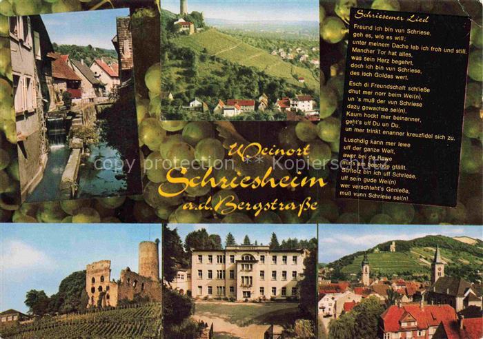 Schriesheim Teilansichten Burgruine Schloss Panorama
