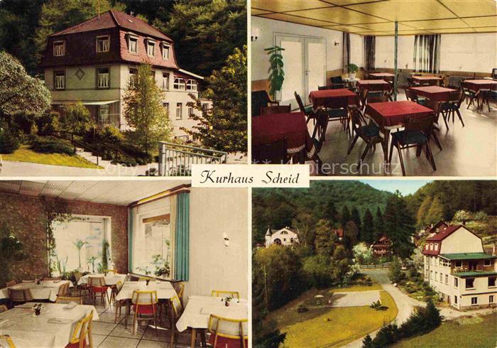 Schriesheim Kurhaus Scheid Gastraeume Park