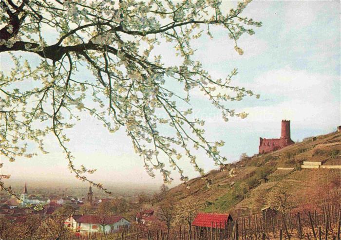 Schriesheim Strahlenburg Panorama