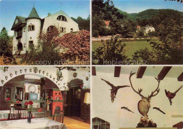 Schriesheim Pension Freyhof Gastraum Jaegerzimmer Panorama