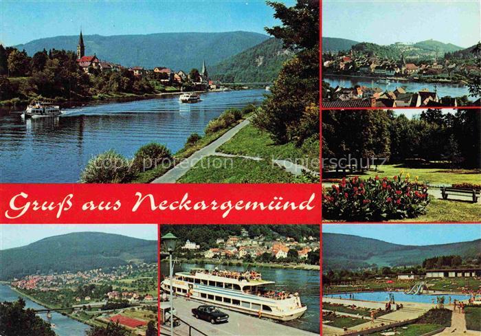 Neckargemuend Neckarpariten Fahrgastschiff Schwimmbad Park